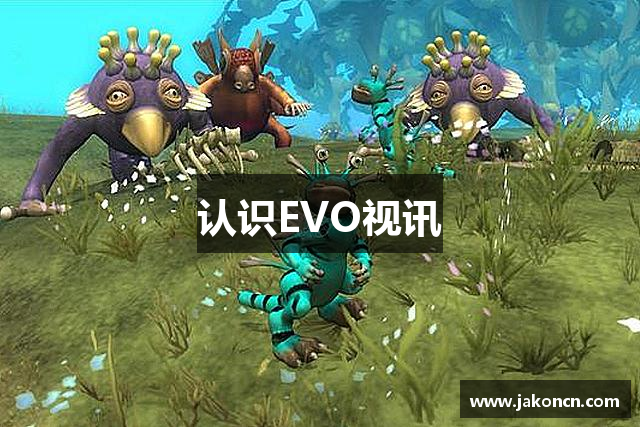 认识EVO视讯